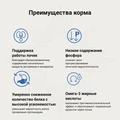 Сухой корм Craftia Galena для кошек при почечной недостаточности Craftia Galena Cat Renal Care GAL5427801