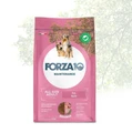 Сухой корм Forza10 Maintenance Maiale для взрослых собак всех пород со свининой Adult All Size 121002