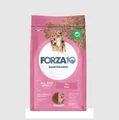 Сухой корм Forza10 Maintenance Maiale для взрослых собак всех пород со свининой Adult All Size 121002