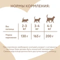 Консервы Мнямс для кошек с курицей и брусникой Паштет по-голландски 176663