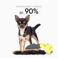 FURminator XS для собак миниатюрных и карликовых пород (до 4.5 кг) с короткой шерстью ширина рабочей поверхности 25 мм (FUR Dog Undercoat XS Short Hair) 151418