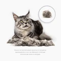 FURminator M/L для кошек весом больше 4,5 кг с длинной шерстью ширина рабочей поверхности 62 мм (FUR Cat Undercoat M/L Long Hair) 151357