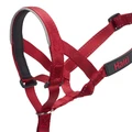 Недоуздок для собак COA "HALTI Headcollar", Size 1, 31-40 см 11409/COA