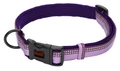 Ошейник для собак COA "HALTI Collar", 20-30 см, размер XS 50613/COA