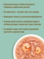 Пауч для кошек Деревенские лакомства Суп из тунца с креветками и крабом 4 шт х 35 гр 76051097