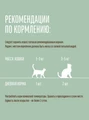 Пауч для кошек Деревенские лакомства Суп из утки с тунцом 4 шт х 35 гр 76051158