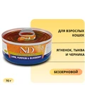 Консервы FARMINA ND CAT LAMB, PUMPKIN/BLUEBERRY для взрослых кошек с ягненком, тыквой и черникой 00-00000225/PND070014