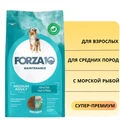 Сухой корм Forza10 Maintenance для взрослых собак средних пород с морской рыбой Medium Pesce 106012