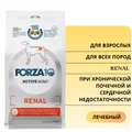 Сухой корм Forza10 Active Renal для взрослых собак всех пород при острой и хронической почечной недостаточности, хронической сердечной недостаточности 913004