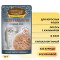 Пауч для кошек Деревенские лакомства Лосось с кальмаром в нежном желе 79218930
