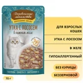 Пауч для кошек Деревенские лакомства Утка с лососем в нежном желе 79218909