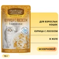 Пауч для кошек Деревенские лакомства Курица с лососем в нежном желе 79218053