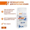 Сухой корм Monge VetSolution для кошек при заболеваниях почек Cat Renal 70081658
