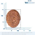 Сухой корм Monge VetSolution для собак при заболеваниях кожи Dog Dermatosis 70081009