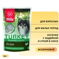 Пауч Blitz Holistic для собак мелких пород кусочки с индейкой и уткой в соусе Turkey & Duck Adult Dog Small Breeds in Gravy BDW12-1-00085