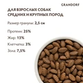 Акция! 12 кг по цене 10 кг! Сухой корм GRANDORF для взрослых собак крупных пород с ягненком и индейкой MAXI Lamb and Turkey 850983.4х3
