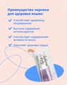 Лакомство Pettric Natural Kitty крем-суп для кошек Тунец, лосось и черника 00-00001724