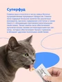 Лакомство Pettric Natural Kitty крем-суп для кошек Курица, куриная печень и семена льна 00-00001728