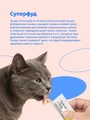 Лакомство Pettric Natural Kitty крем-суп для кошек Курица и тыква 00-00001727