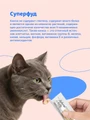 Лакомство Pettric Natural Kitty крем-суп для кошек Курица и киноа 00-00001726