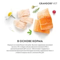 Акция! Скидка 30% Срок до 15.11.2026 2 кг Беззерновой сухой корм GRANDORF VET для кошек с заболеваниями кожи GRANDORF VETERINARY DIET Cat DERMATOSIS 853250.срок