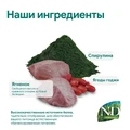 Акция! Скидка 50% Срок 18.11.2026 2 кг Беззерновой cухой корм FARMINA ND SPIRULINA для взрослых собак мелких пород с ягненком и ягодами годжи 00-00001000/PND0200006.срок