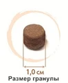 Размер гранулы корма Grandorf (Грандорф) для взрослых собак средних пород